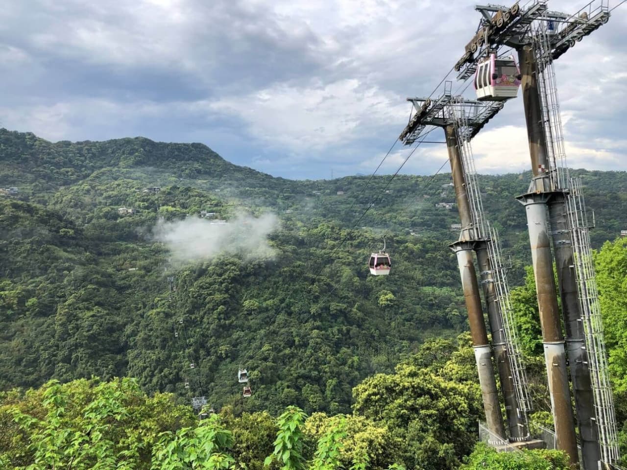 Pinglin Tea Culture and Maokong Full-Day Tour from Taipei - imagen 3
