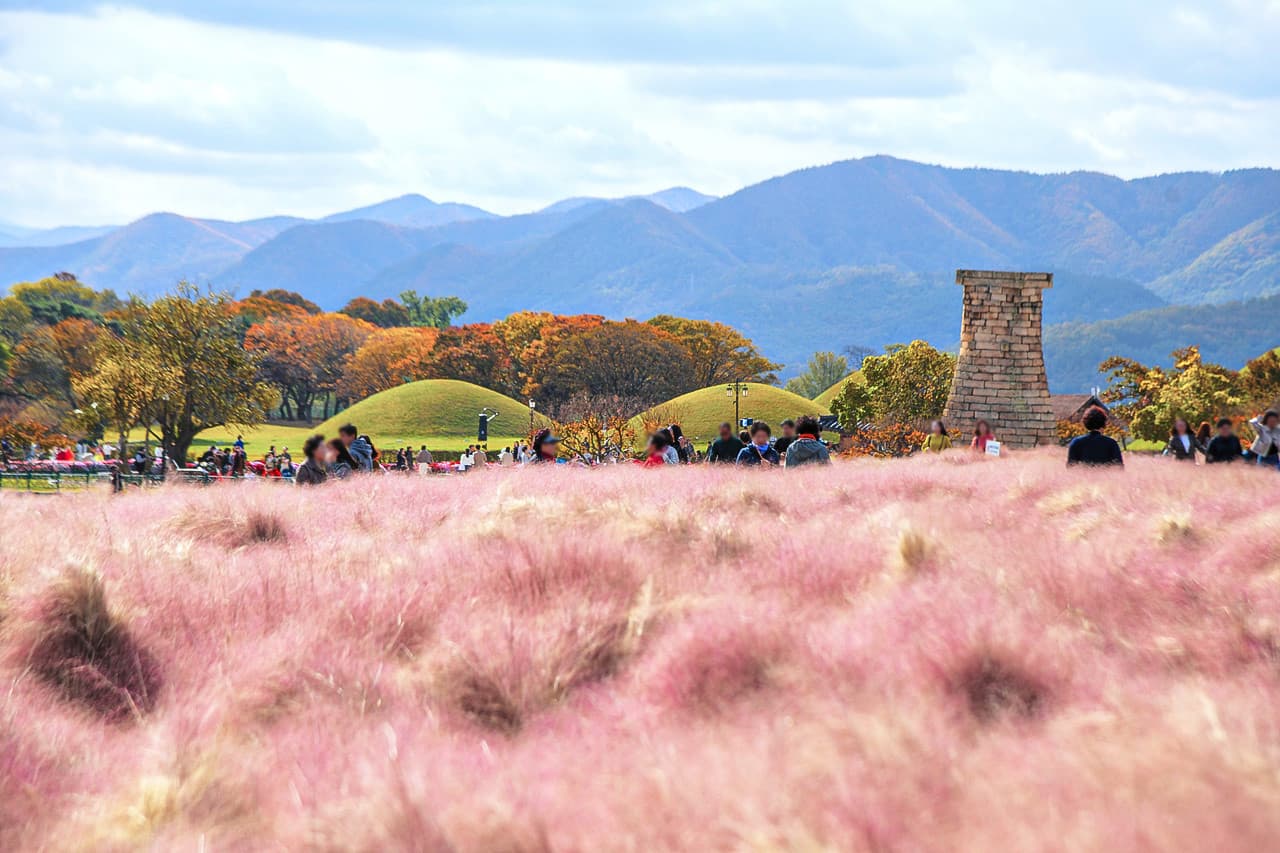 Gyeongju Autumn Foliage One Day Tour from Busan - image 8