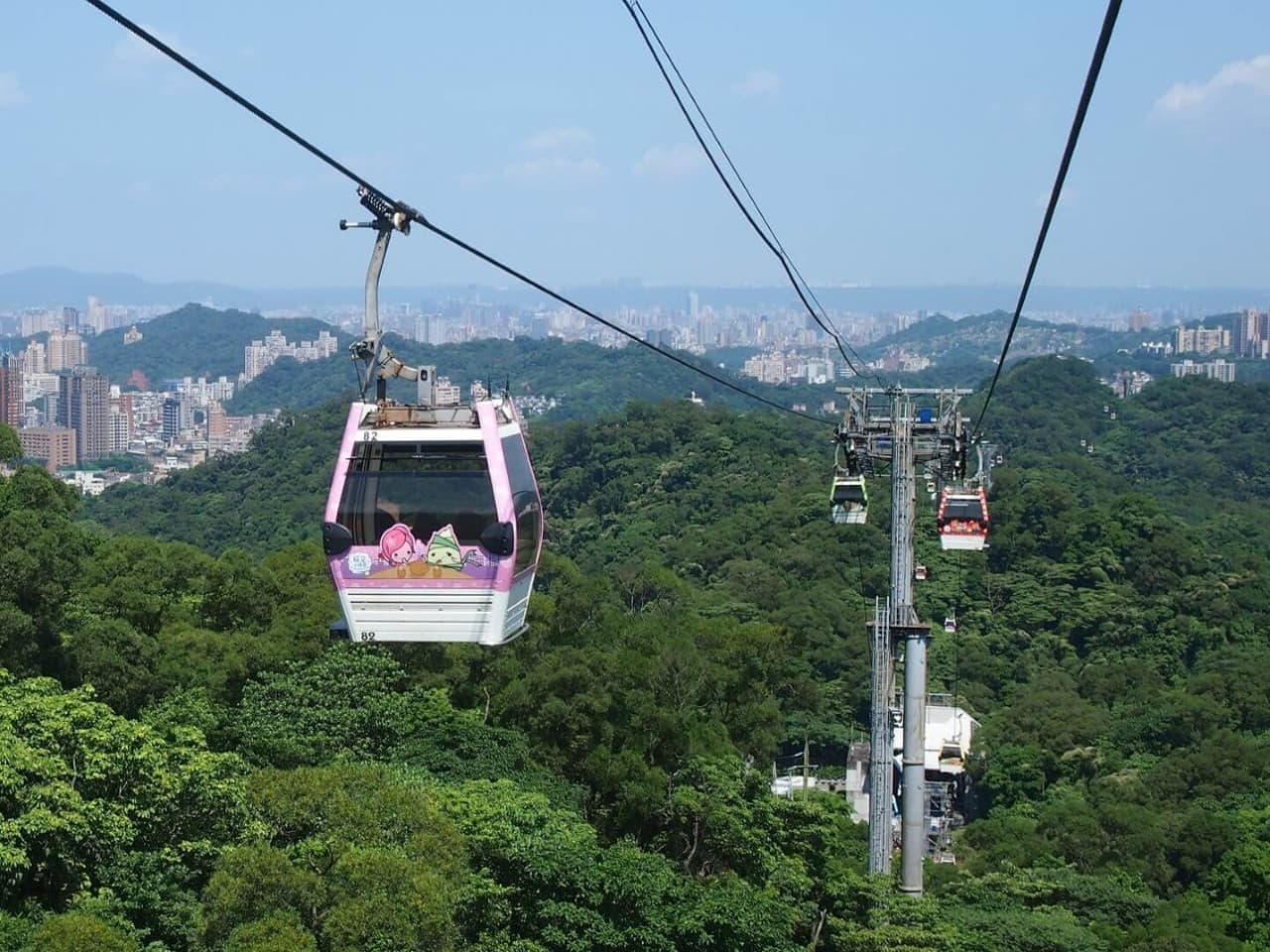 Pinglin Tea Culture and Maokong Full-Day Tour from Taipei - imagen 7