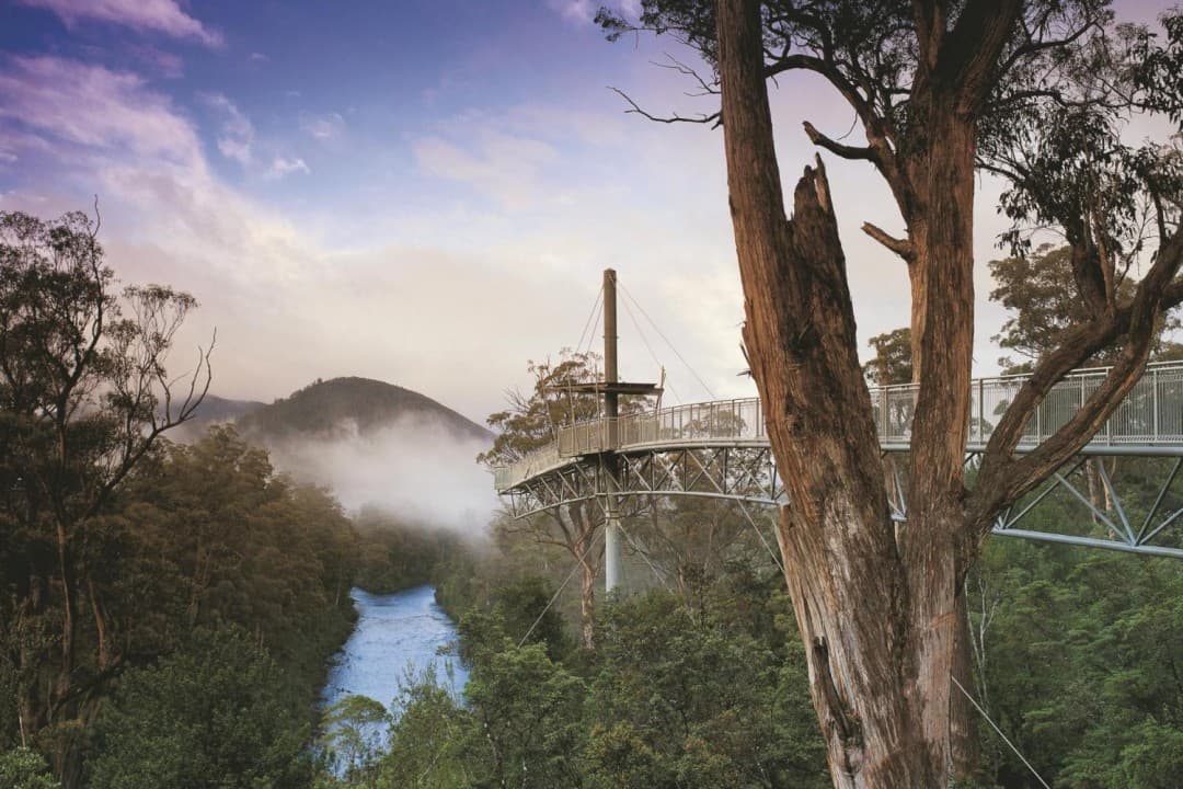 Huon Valley Tour - image 5