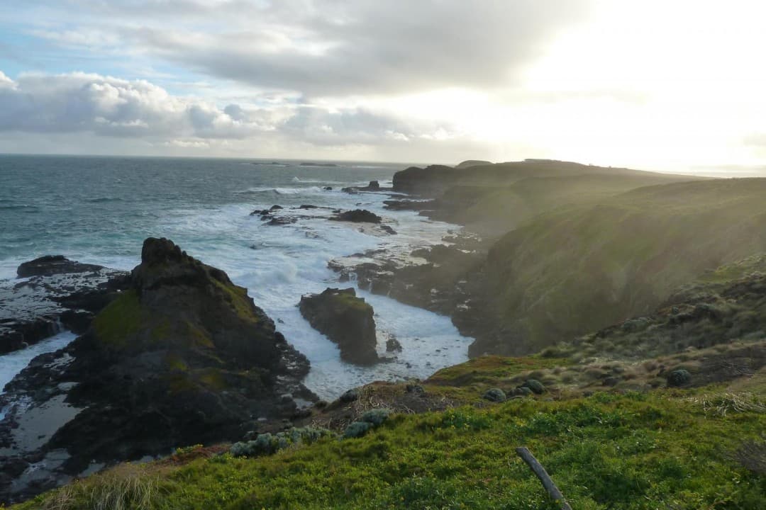 Phillip Island with Penguin Parade Eco Tour - image 12