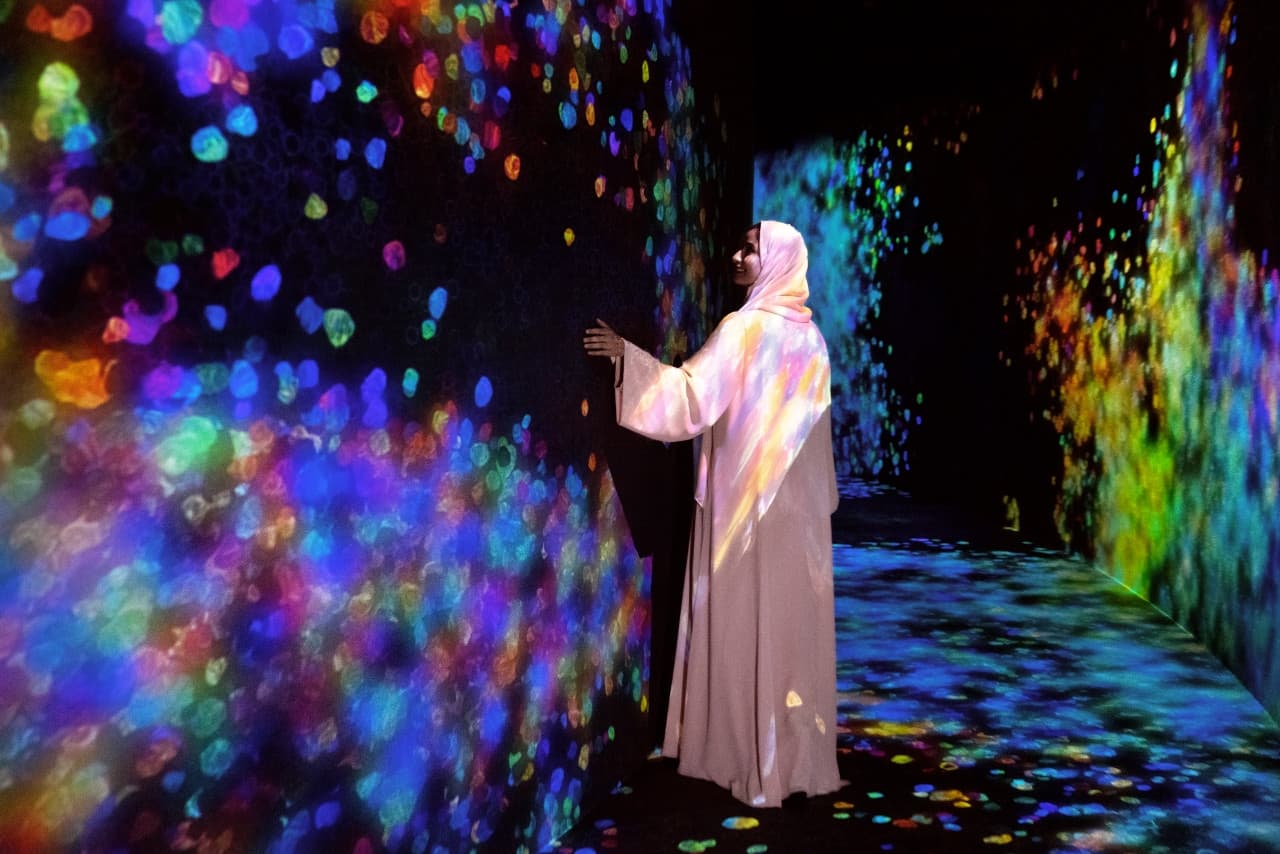 COMBO: Louvre Abu Dhabi + teamLab Phenomena + Big Bus Abu Dhabi Hop-on Hop-off Bus Tour - image 6