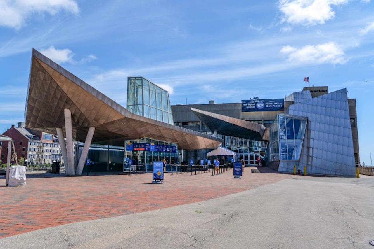 Entrada al New England Aquarium - imagen principal