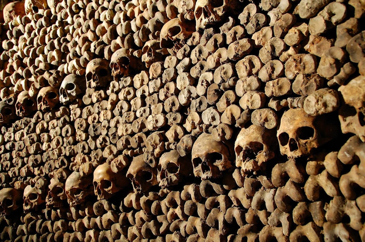 The Paris Catacombs - Skip-the-line with Audio Guide - image 4