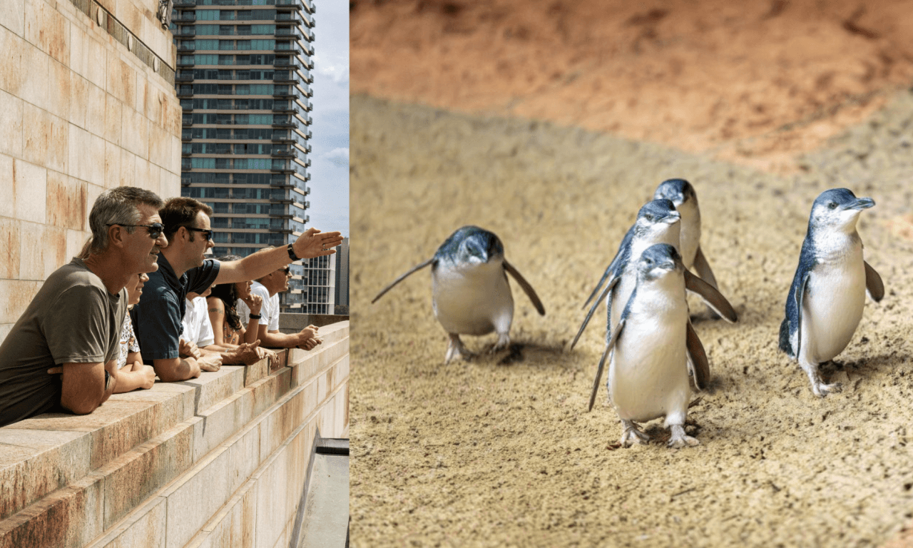Melbourne City Discovery Tour with Penguin Parade - imagen 16