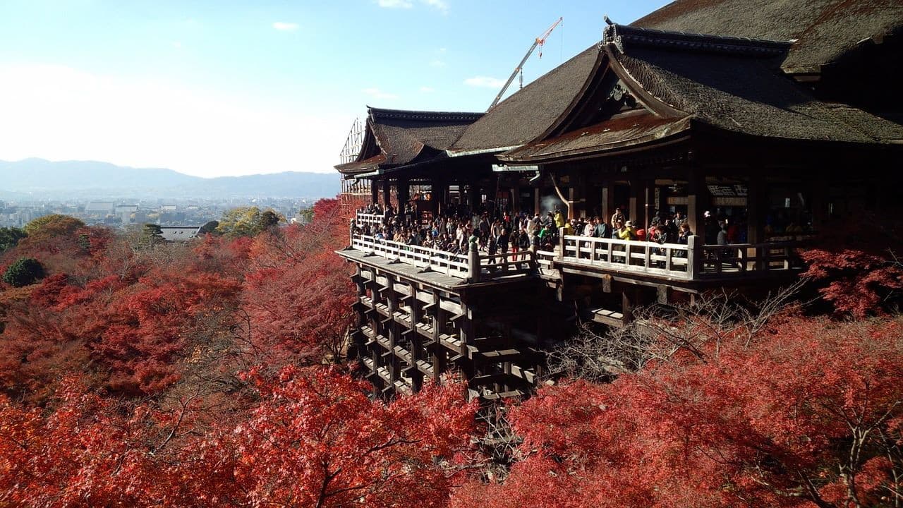 Kyoto Full-Day Tour: Nijo Castle, Kinkaku-ji,  Fushimi Inari Taisha, Kiyomizu-dera Temple - image 6