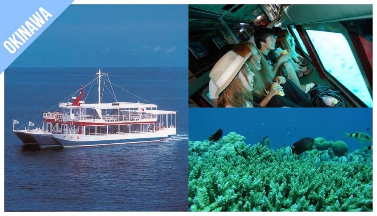 Have Fun in Okinawa Pass - 1 Week Free Pass - image 12