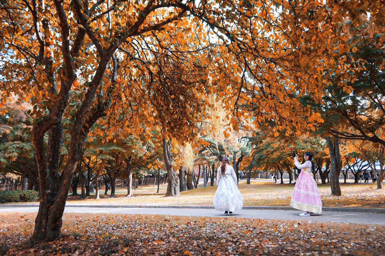 Gyeongju Autumn Foliage One Day Tour from Busan - 대표 이미지