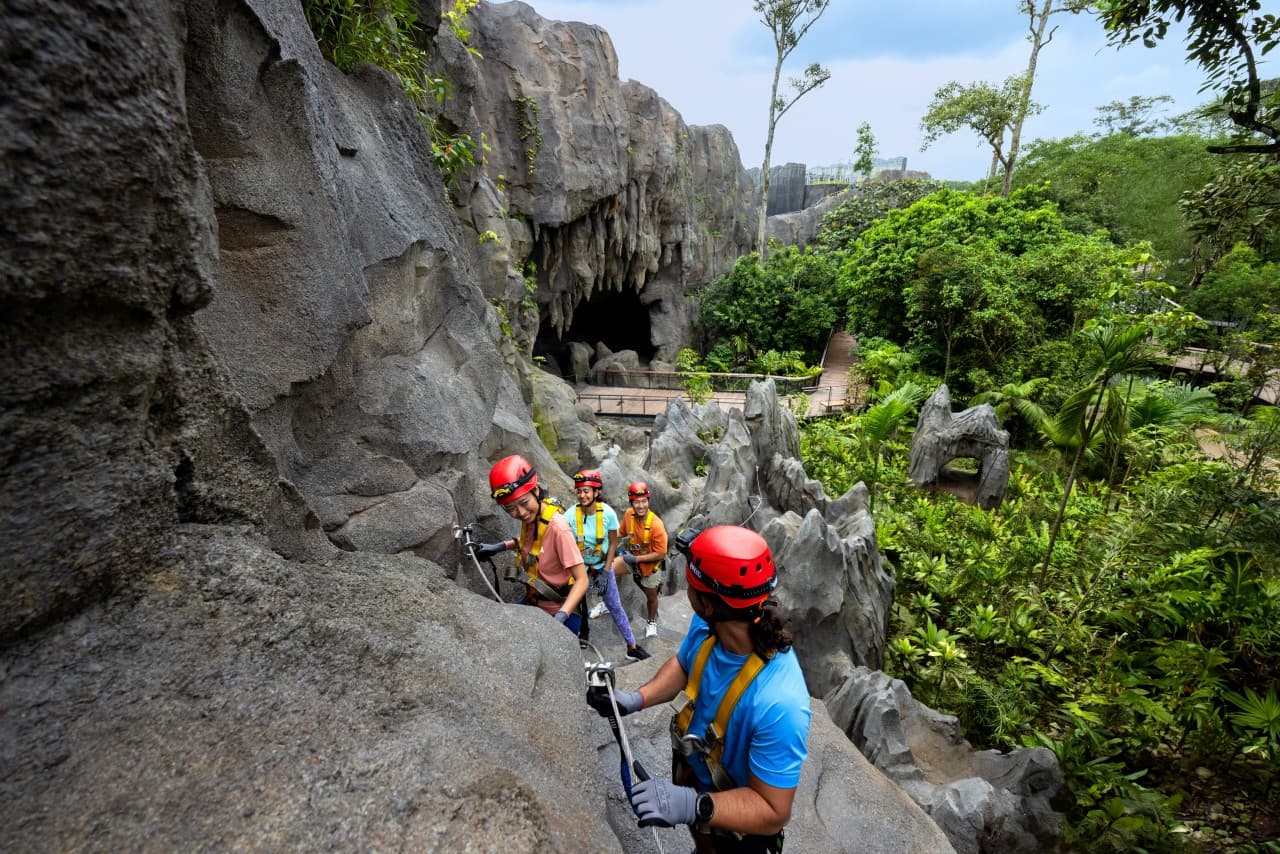 Rainforest Wild Adventure Ticket - image 11