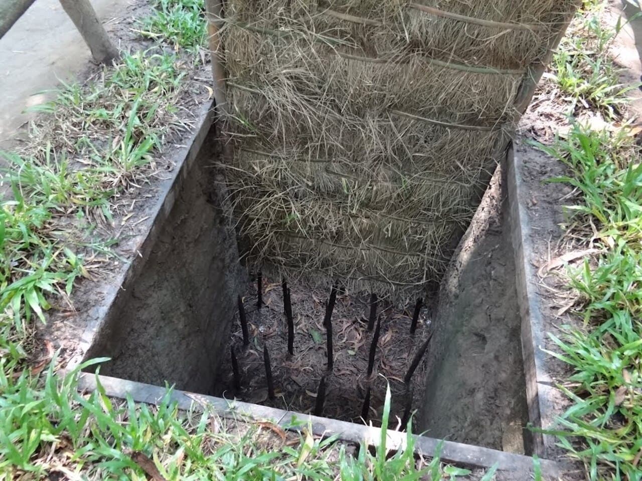 Cu Chi Tunnels Tour from Ho Chi Minh City - image 7