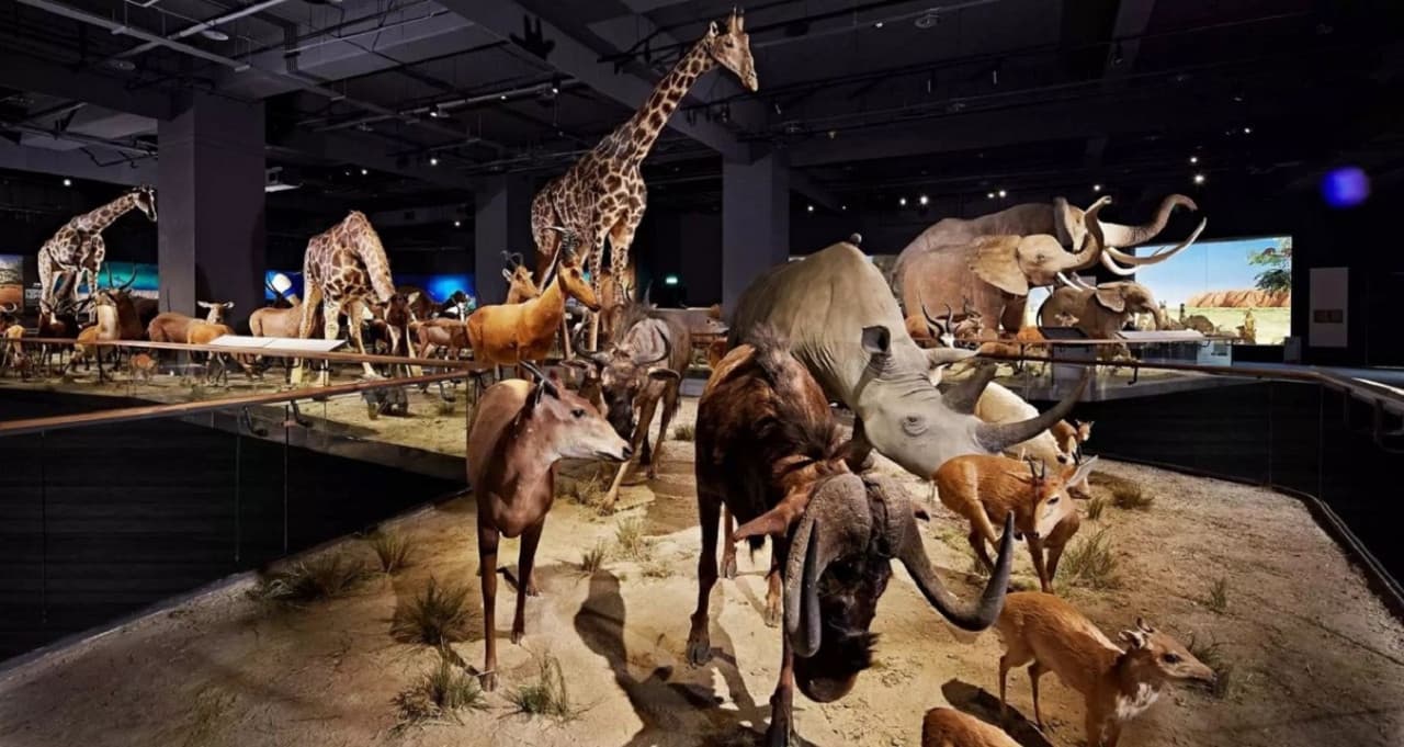Museo Chimei de Tainan - imagen 4