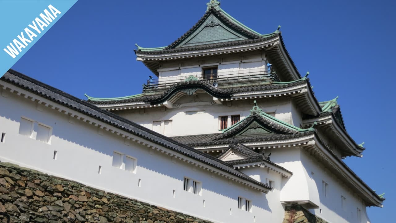 Have Fun in Wakayama Pass - 1 Week Free Pass - image 4