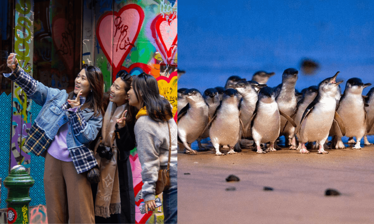 Melbourne City Discovery Tour with Penguin Parade - image 17