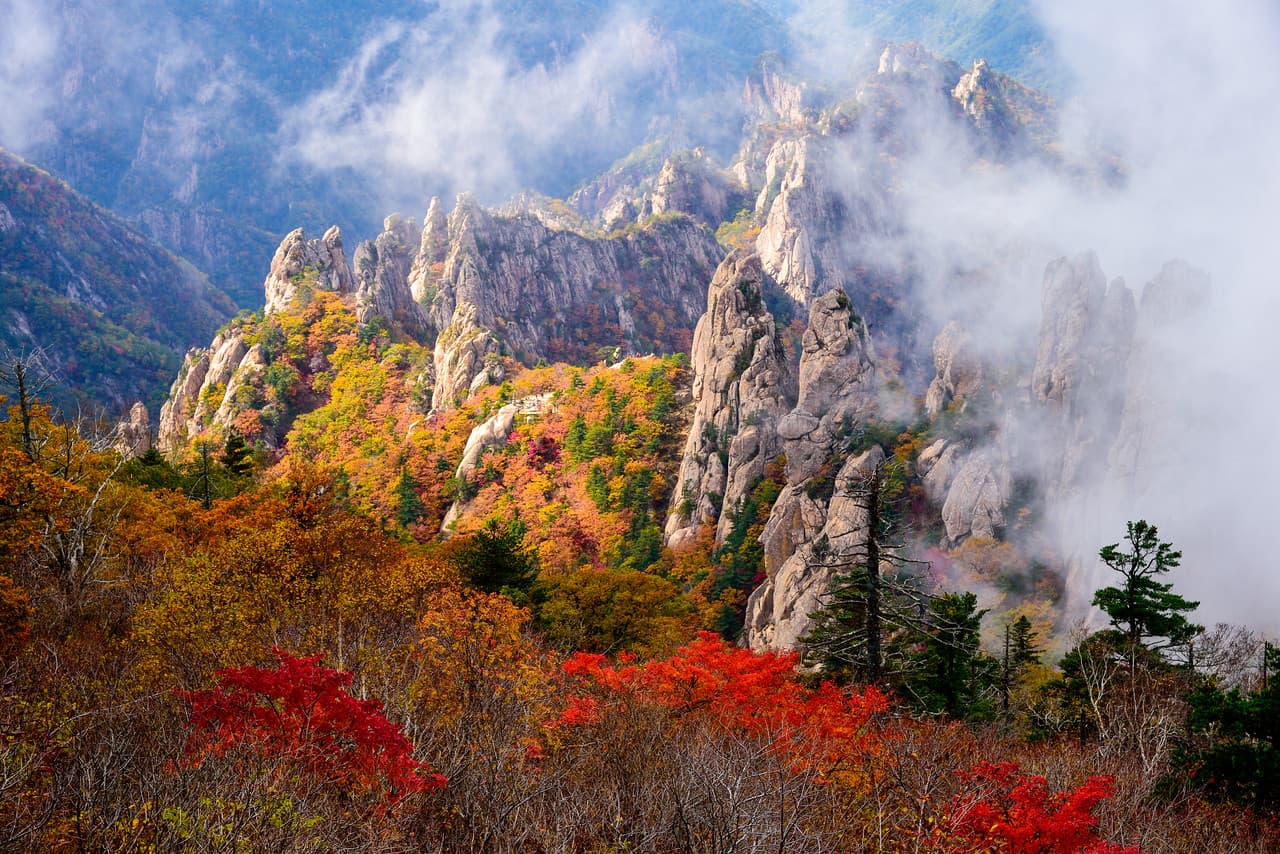Tour de un día para ver el follaje otoñal en el Parque Nacional del Monte Seorak desde Seúl - imagen 5