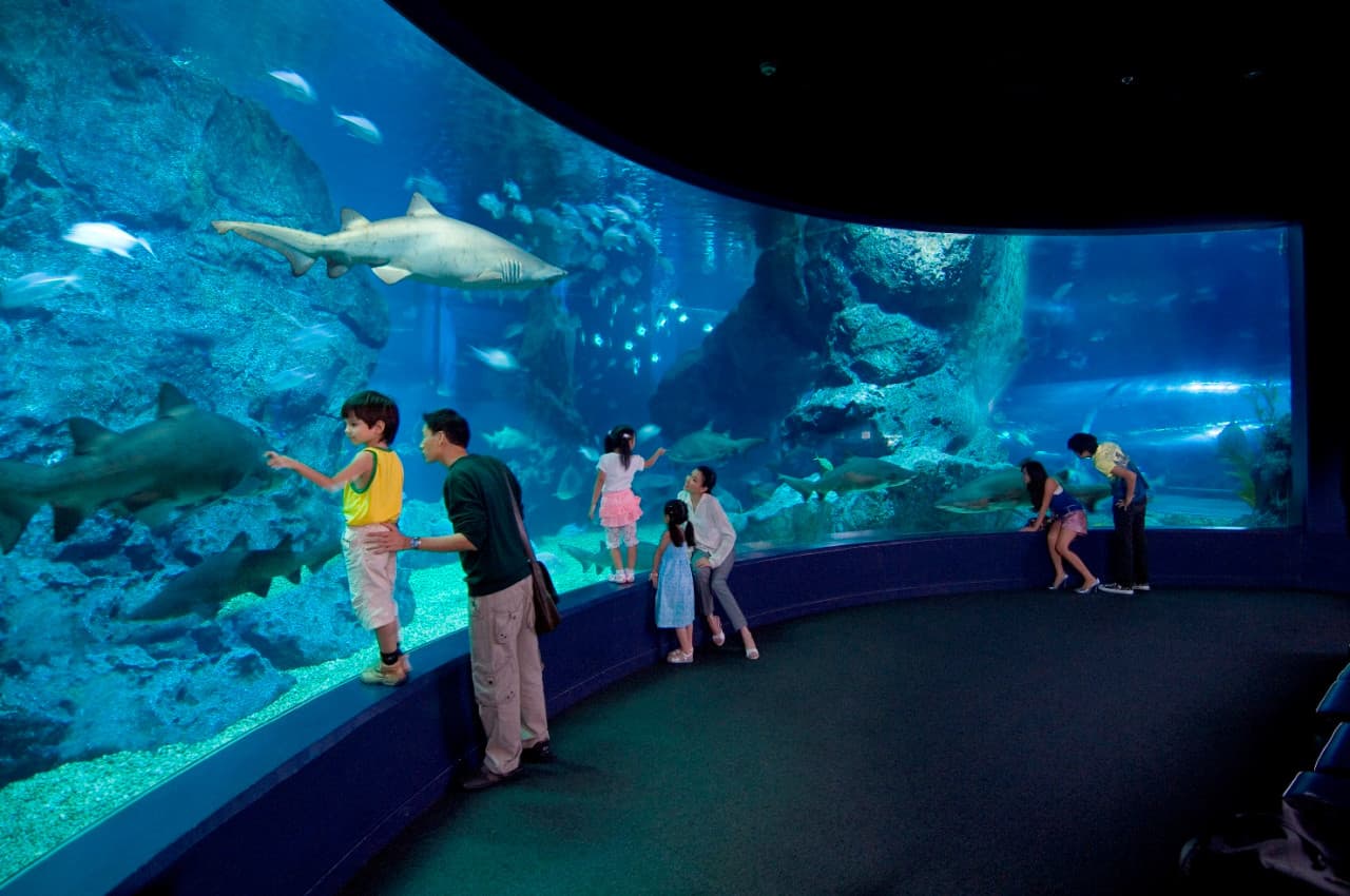 SEA LIFE Bangkok Ocean World Ticket - image 6
