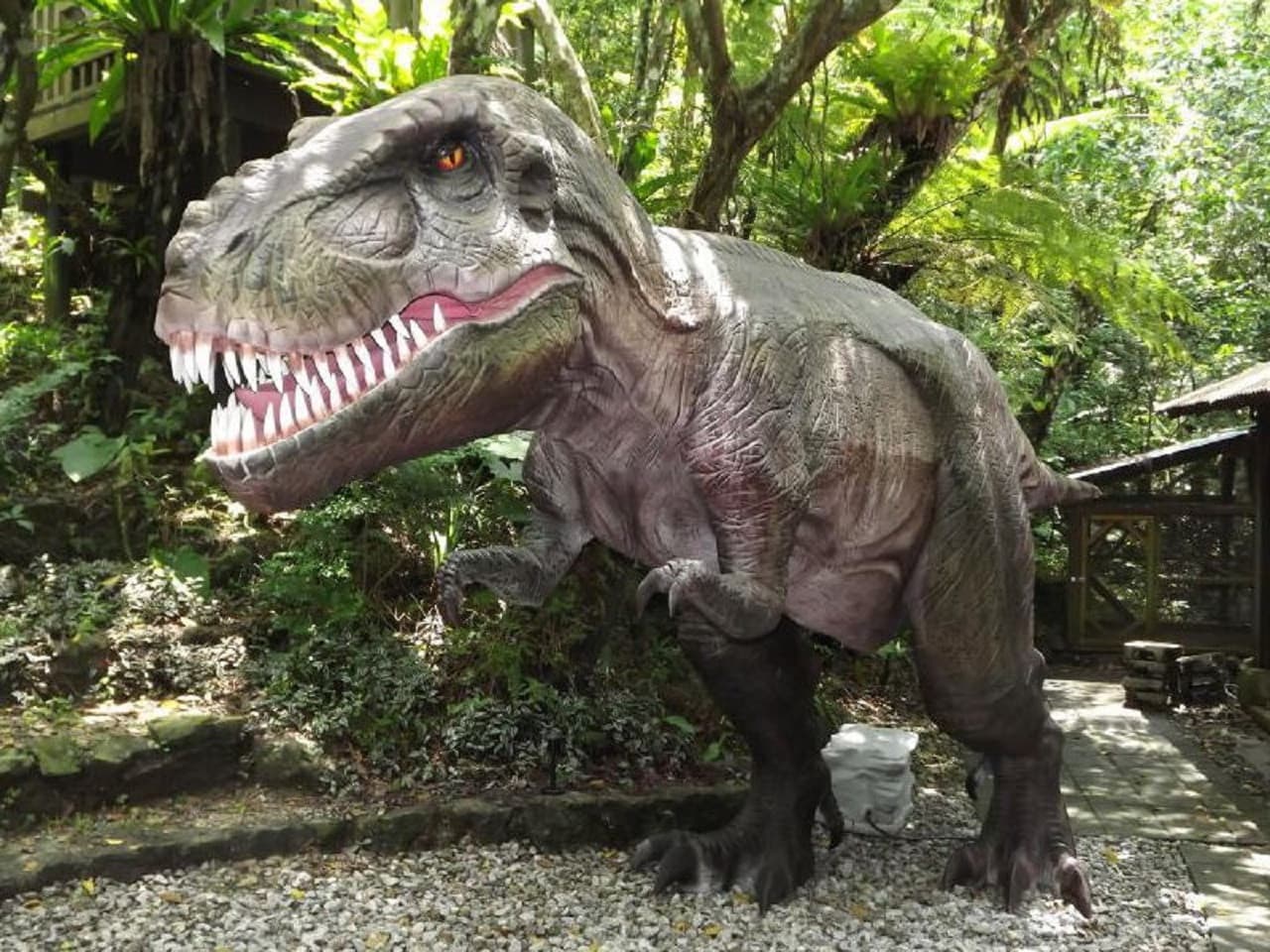 Okinawa Dino Park Yanbaru Subtropical Forest Ticket - main image