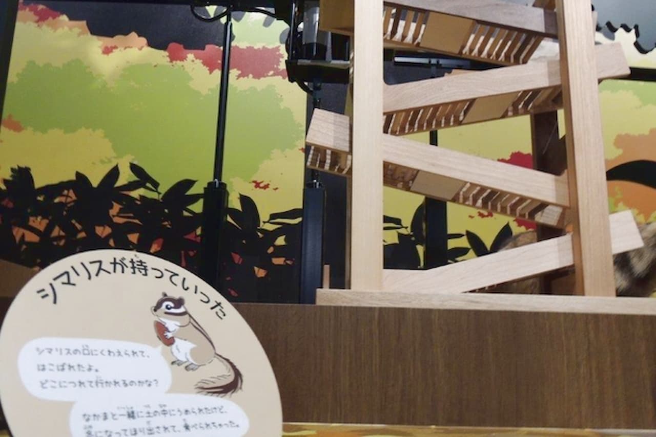 Hokkaido Museum Ticket - image 3