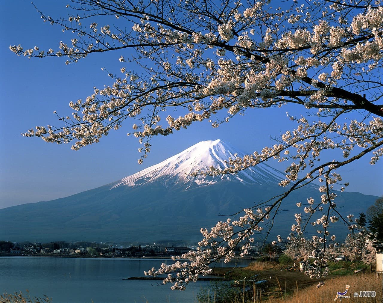Mount Fuji G Line Full-Day Tour from Tokyo: Arakurayama Sengen Park, Lake Kawaguchi - image 2