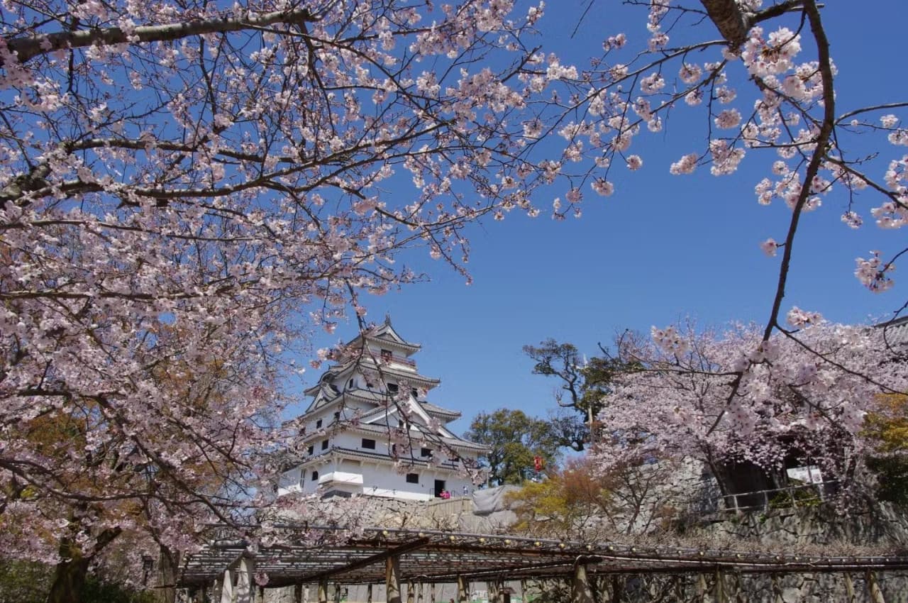 Karatsu Castle Ticket - image 3