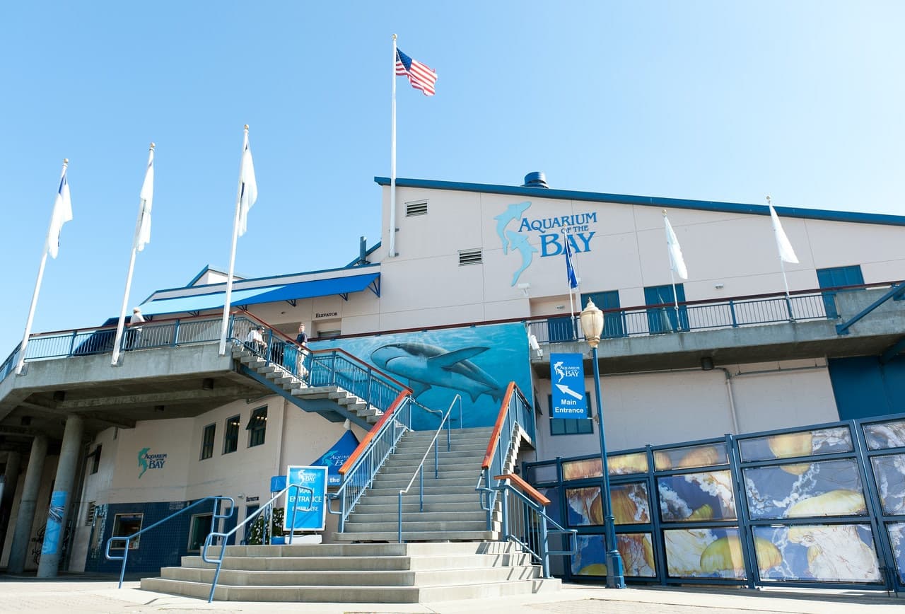 Aquarium of the Bay Ticket - image 4