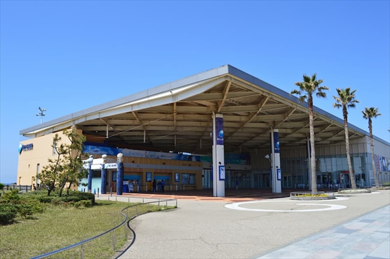 Entrada al Acuario de Enoshima - imagen 8