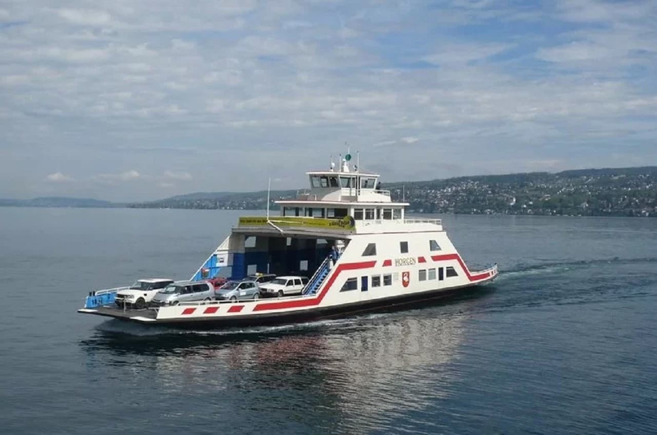 Tour por la ciudad de Zúrich con ferry y teleférico a Felsenegg - imagen 6