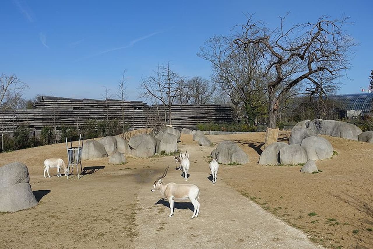 Paris Zoo (Parc Zoologique de Paris) - image 6