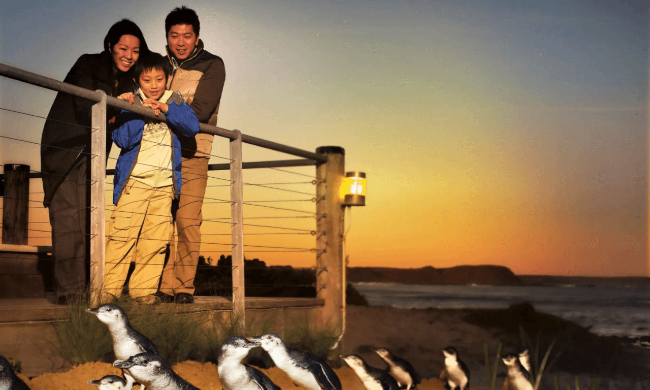 Phillip Island with Penguin Parade Eco Tour - imagen 3