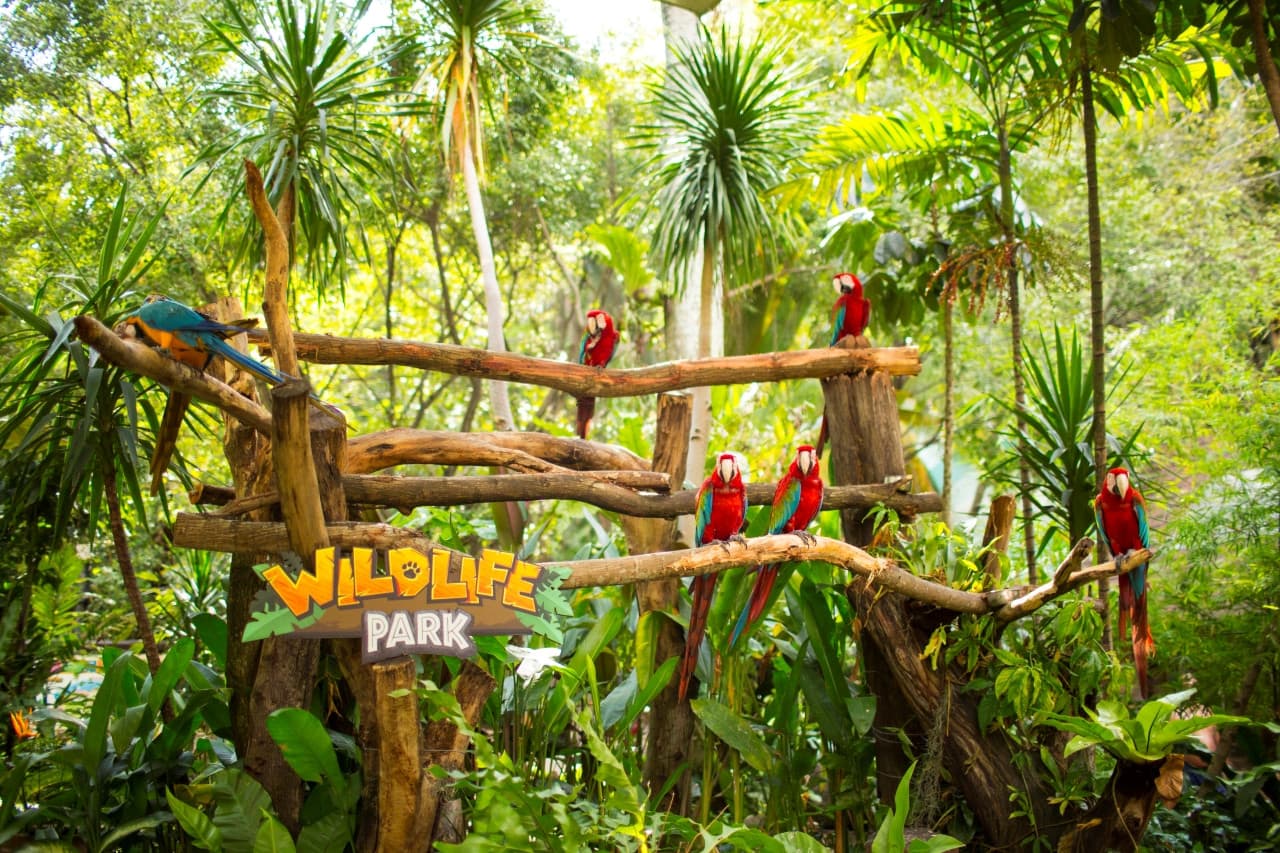 Entrada para Sunway Lagoon Theme Park - imagen 11