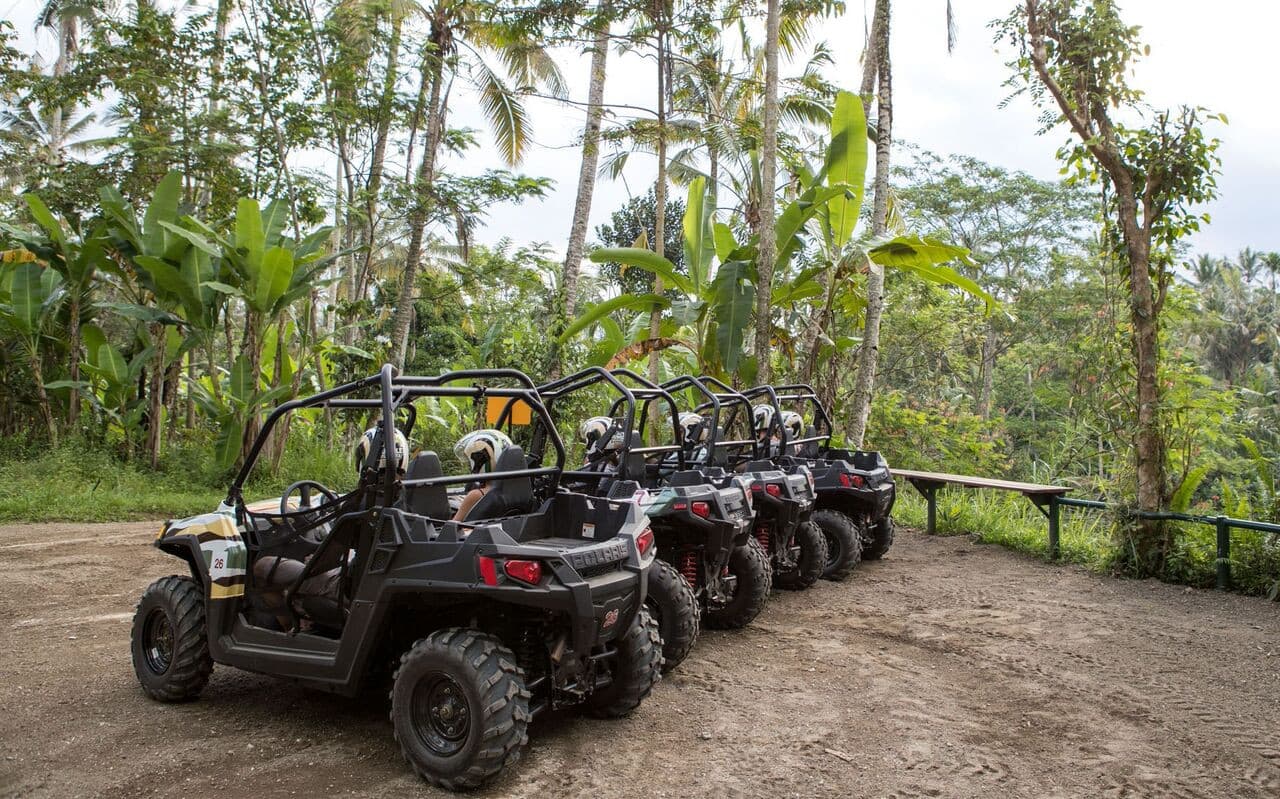Bali's Thrilling Jungle Buggy Adventure by Mason Adventures - image 3