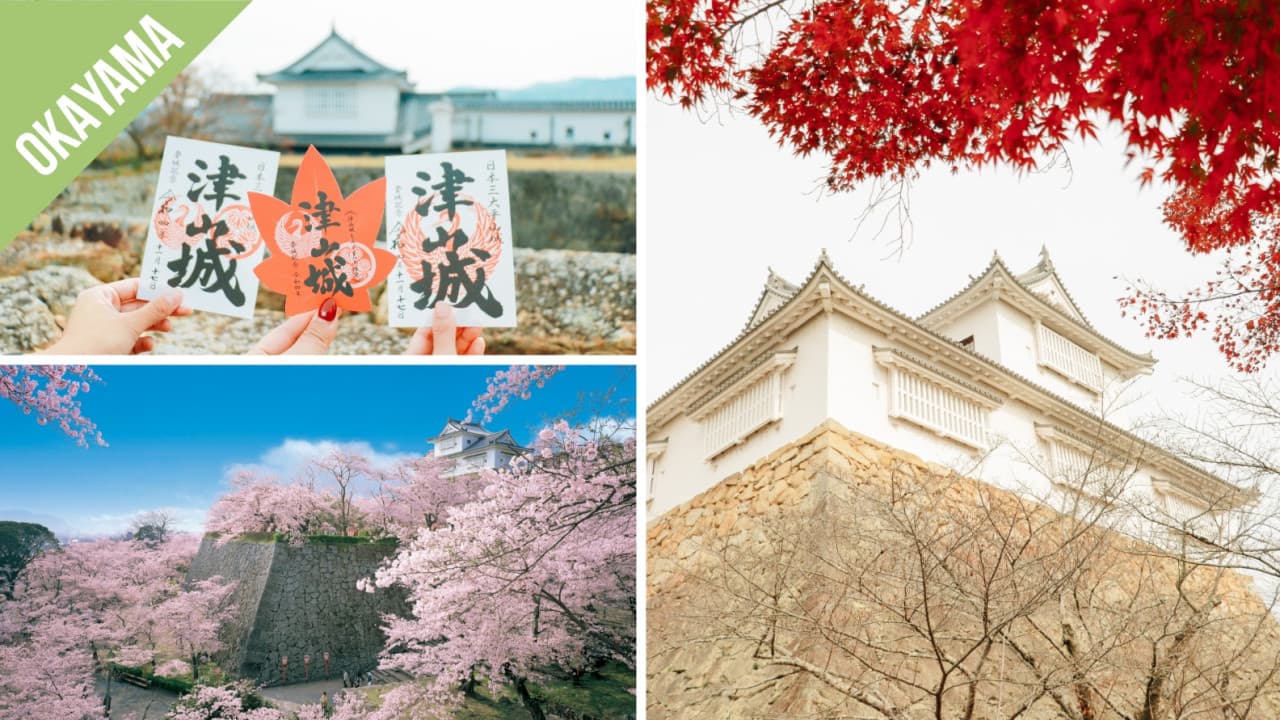 Have Fun in Okayama Pass - 1 Week Free Pass - image 4