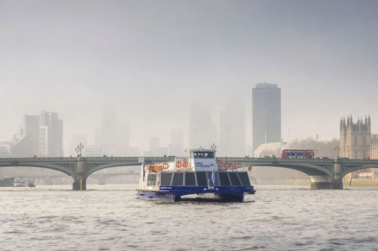 Afternoon Tea Cruise on the River Thames - image 2
