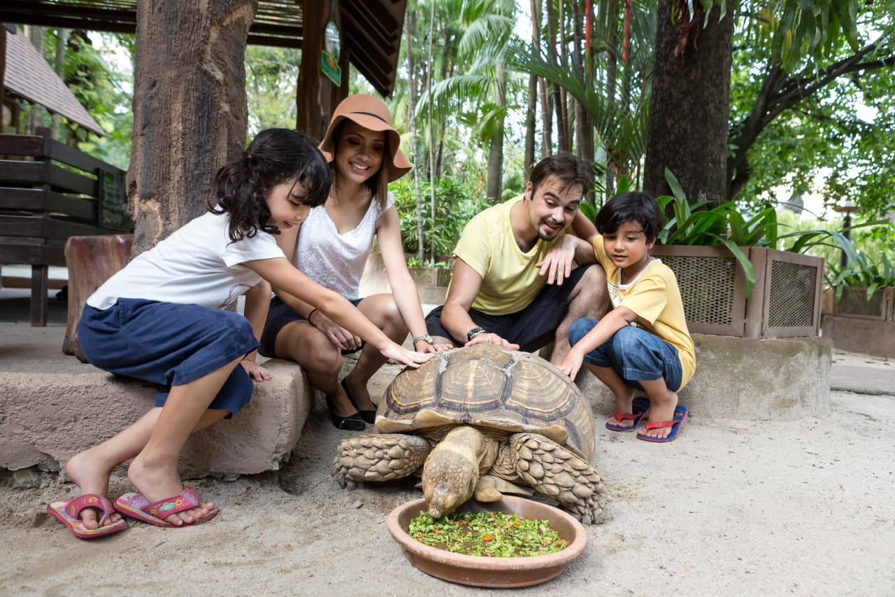 Entrada para Sunway Lagoon Theme Park - imagen 12