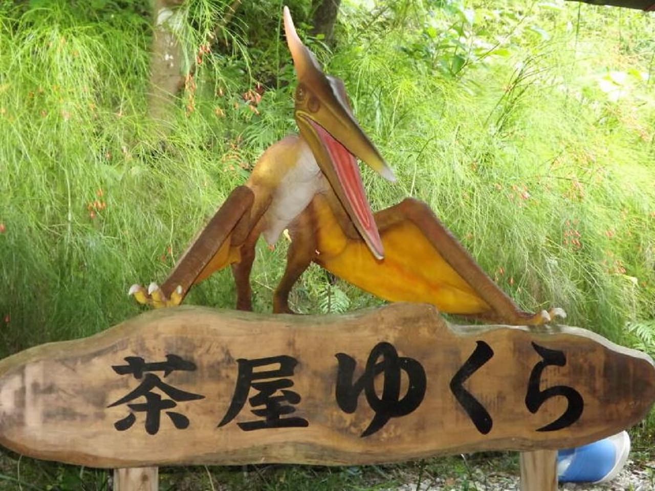 Okinawa Dino Park Yanbaru Subtropical Forest Ticket - image 8