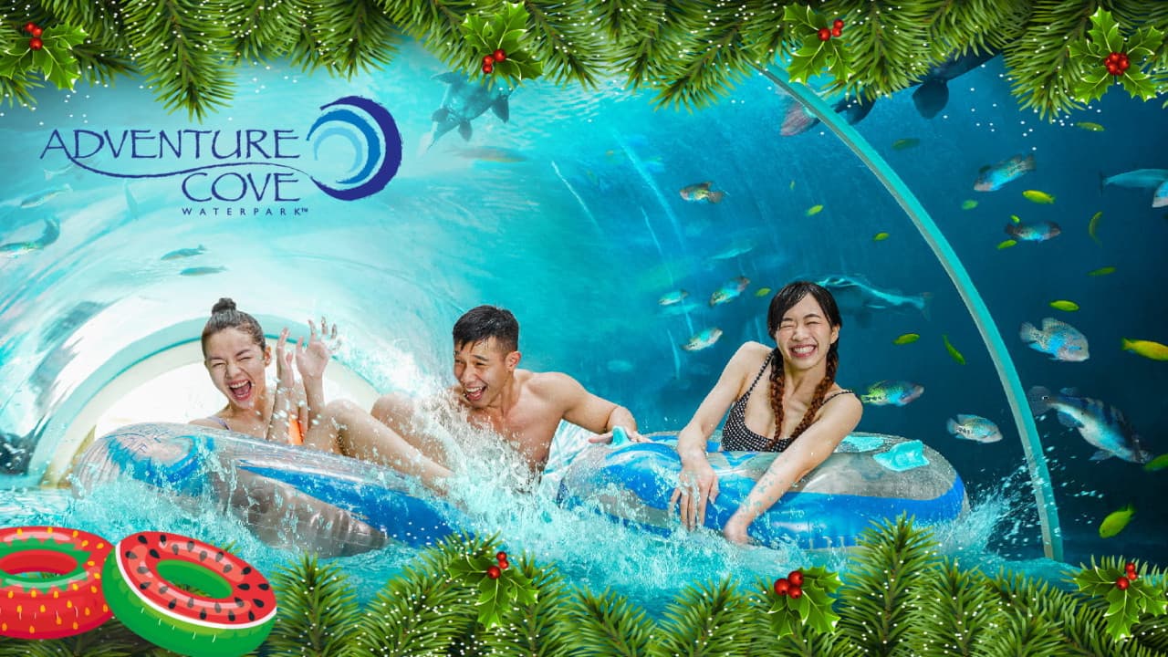 Adventure Cove Waterpark Ticket - main image