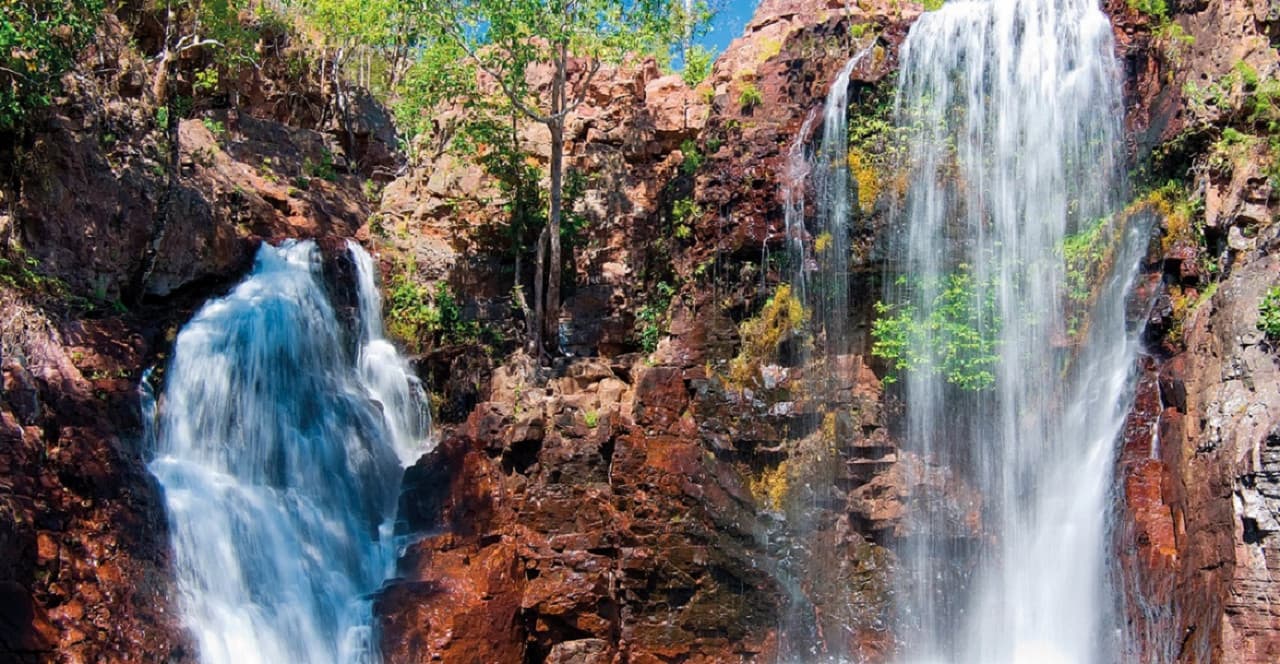 Litchfield National Park and Waterfalls Tour from Darwin - imagen 5