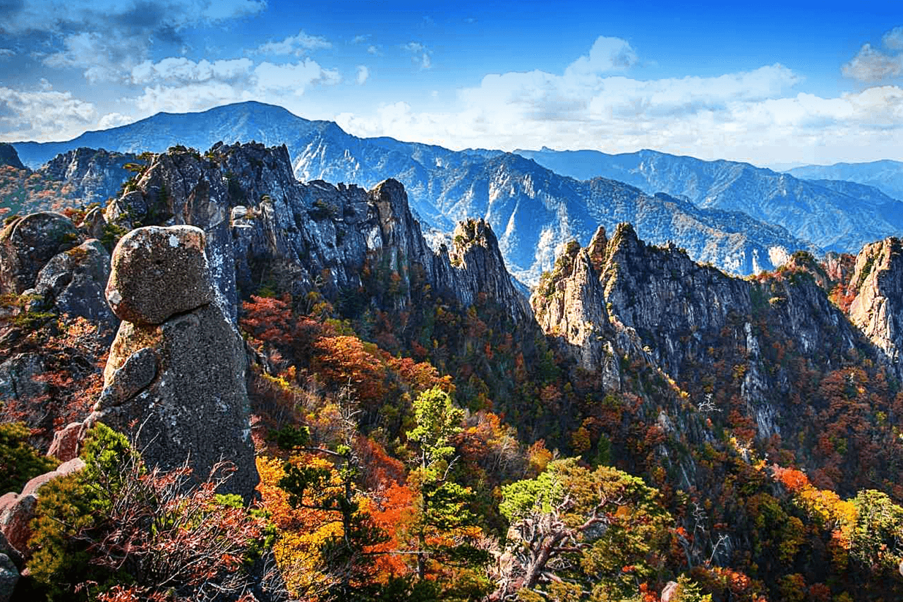 Tour de día completo a la isla de Nami, el monte Seorak y el Rail Bike de Gapyeong desde Seúl - imagen 7