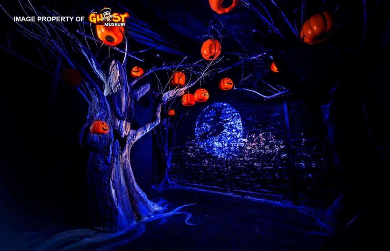 Entrada para el Ghost Museum Penang - imagen 6