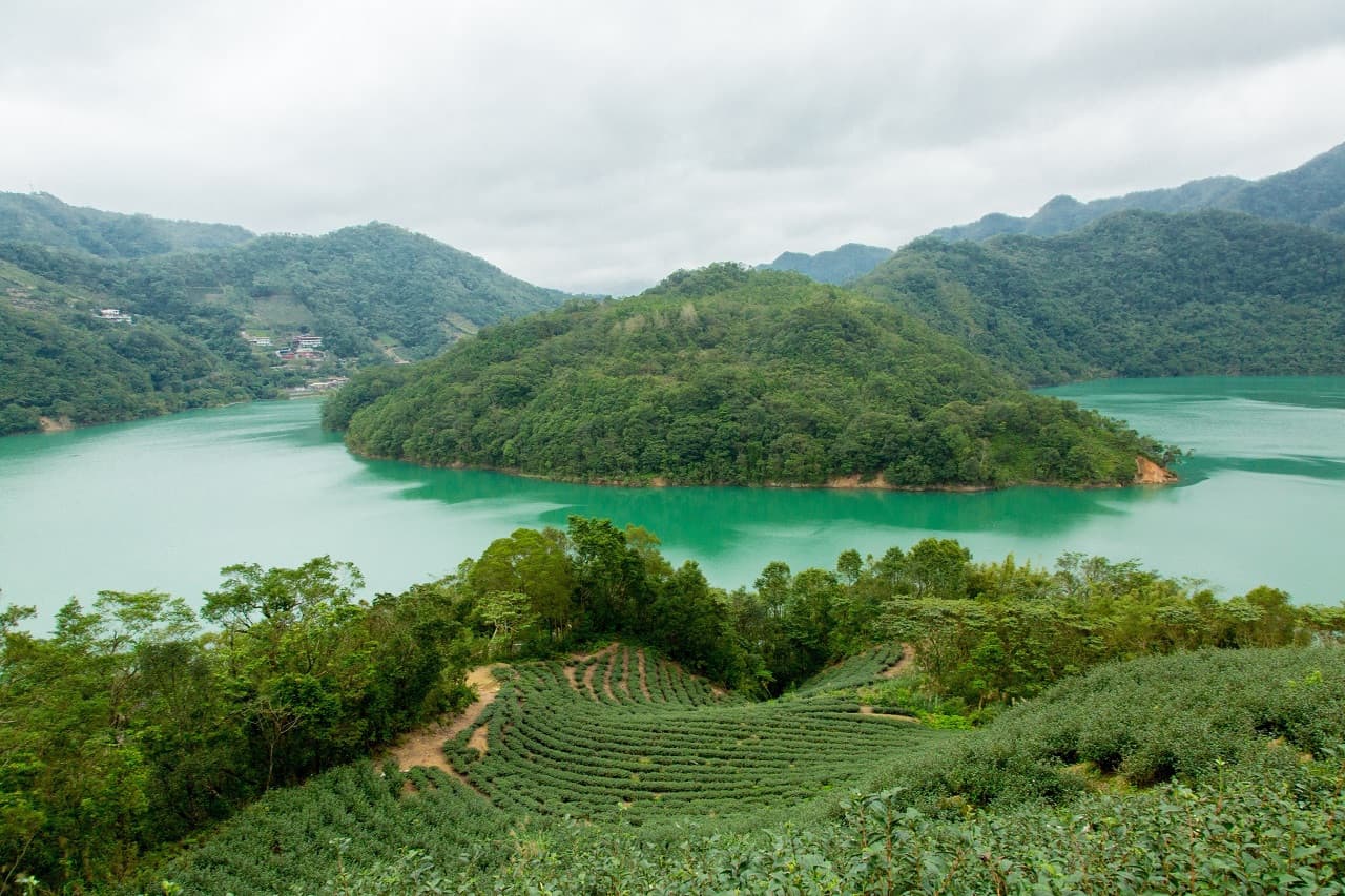 Thousand Island Lake and Pinglin Tea Plantation Tour - image 3