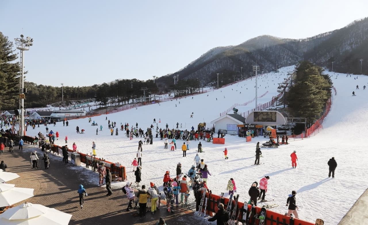 Jisan Forest Ski Resort Full-Day Tour from Seoul - 이미지 10