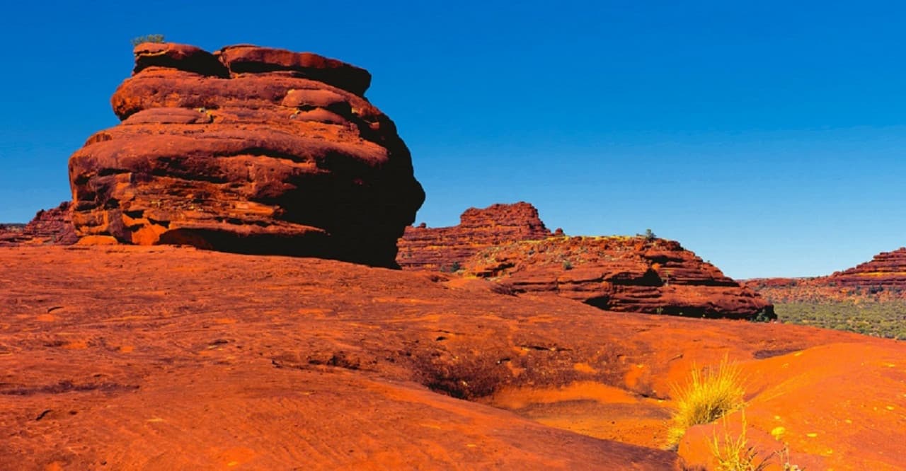 Palm Valley Outback Safari 4WD Tour - image 7
