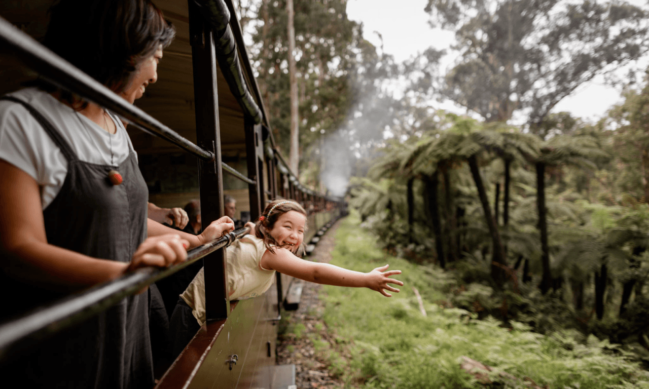 Puffing Billy Steam Train Half-Day Tour - image 4