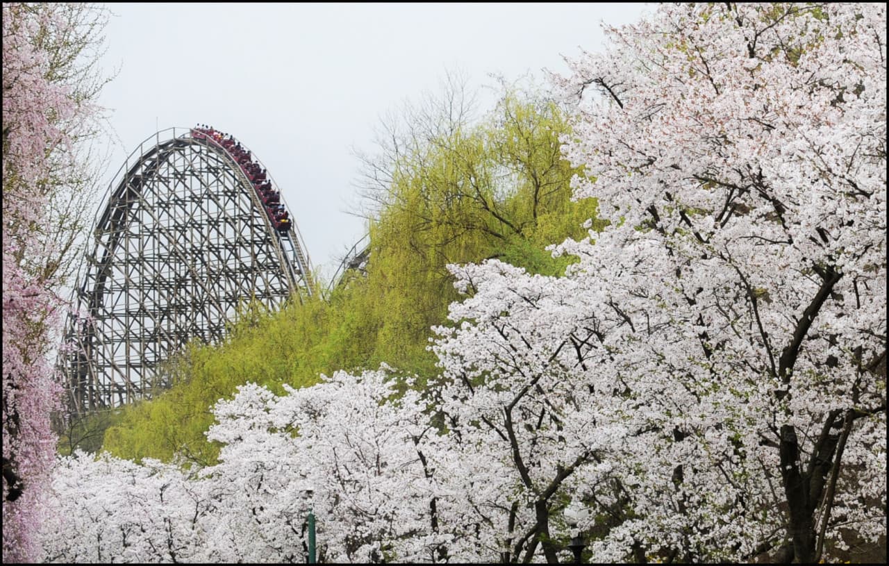 Everland Theme Park Ticket - imagen 20