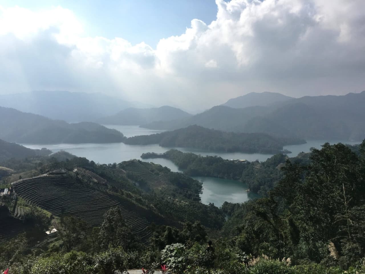Pinglin Tea Culture and Maokong Full-Day Tour from Taipei - imagen 14