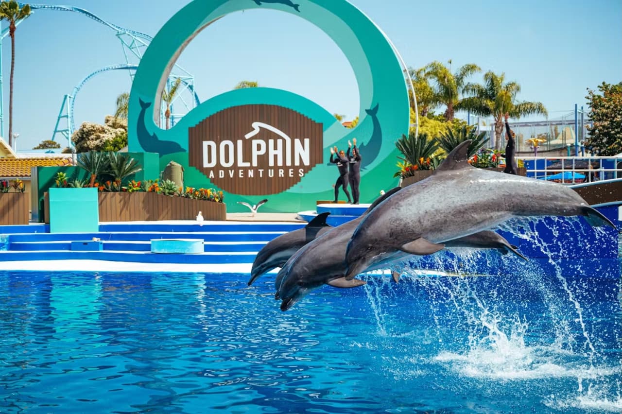 Entrada a SeaWorld San Diego: acceso directo - imagen 9