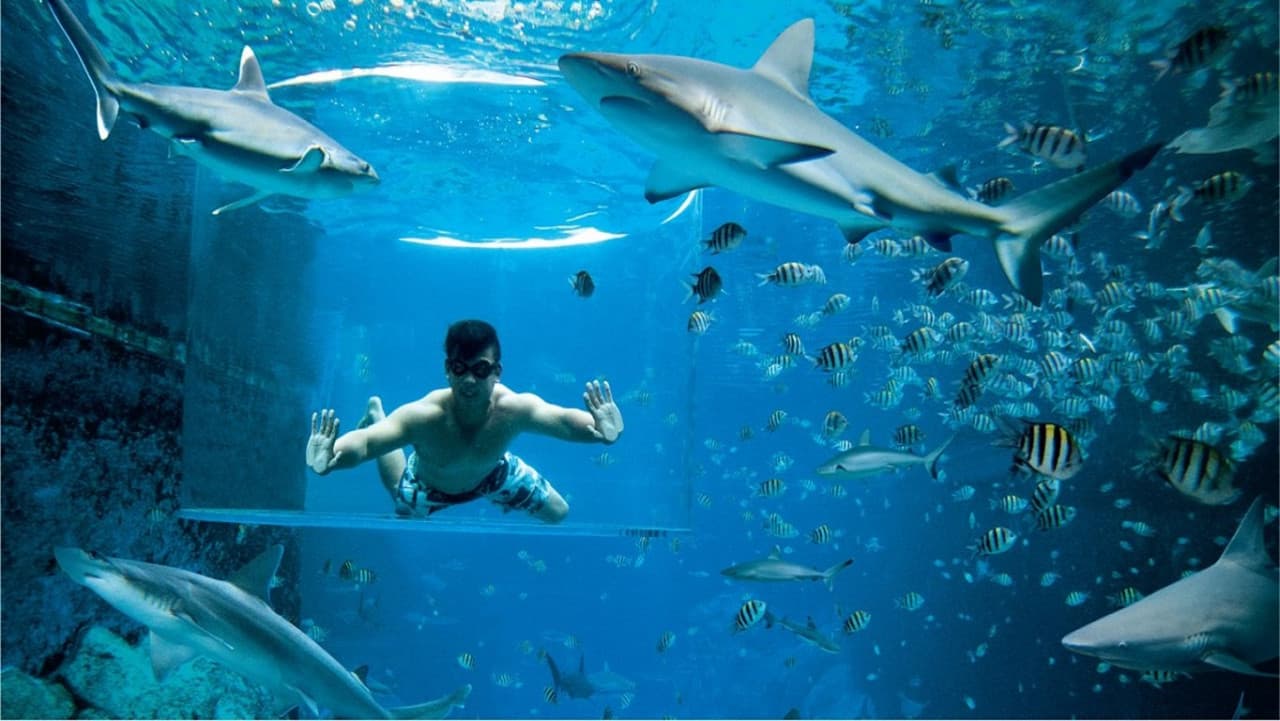 어드벤처 코브 워터파크 - 얼티메이트 마린 라이프 익스피리언스 (Ultimate Marine Life Experience) - 이미지 6