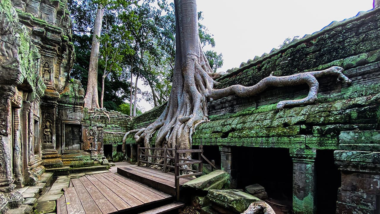 Angkor Wat, Ta Prohm, and Neak Pean Tour - image 3