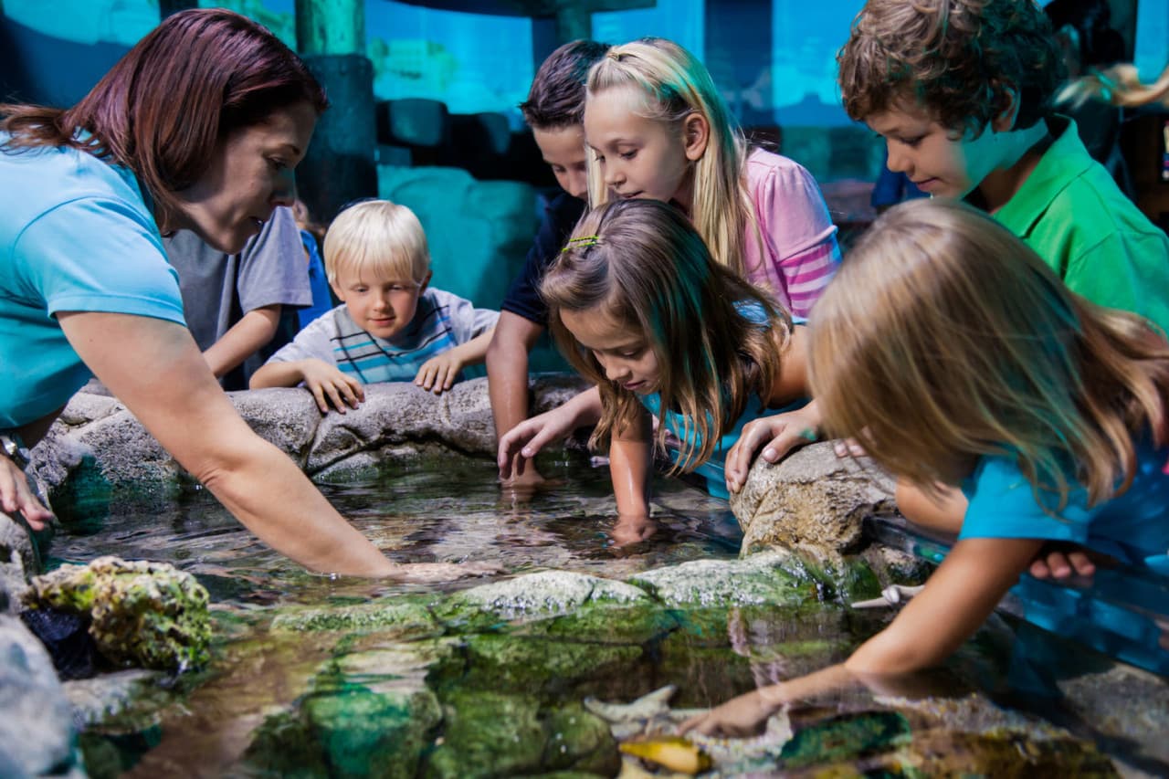 Go City Orlando All-Inclusive Pass: Save up to 50% on Attractions - image 24