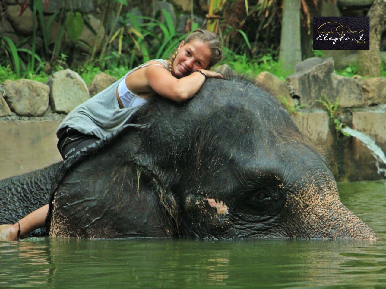 Lombok Wildlife Park Elephant Bath Experience - image 4
