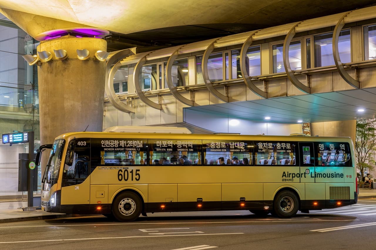 Traslados en autobús limusina del Aeropuerto Internacional de Incheon al centro de Seúl - imagen 7